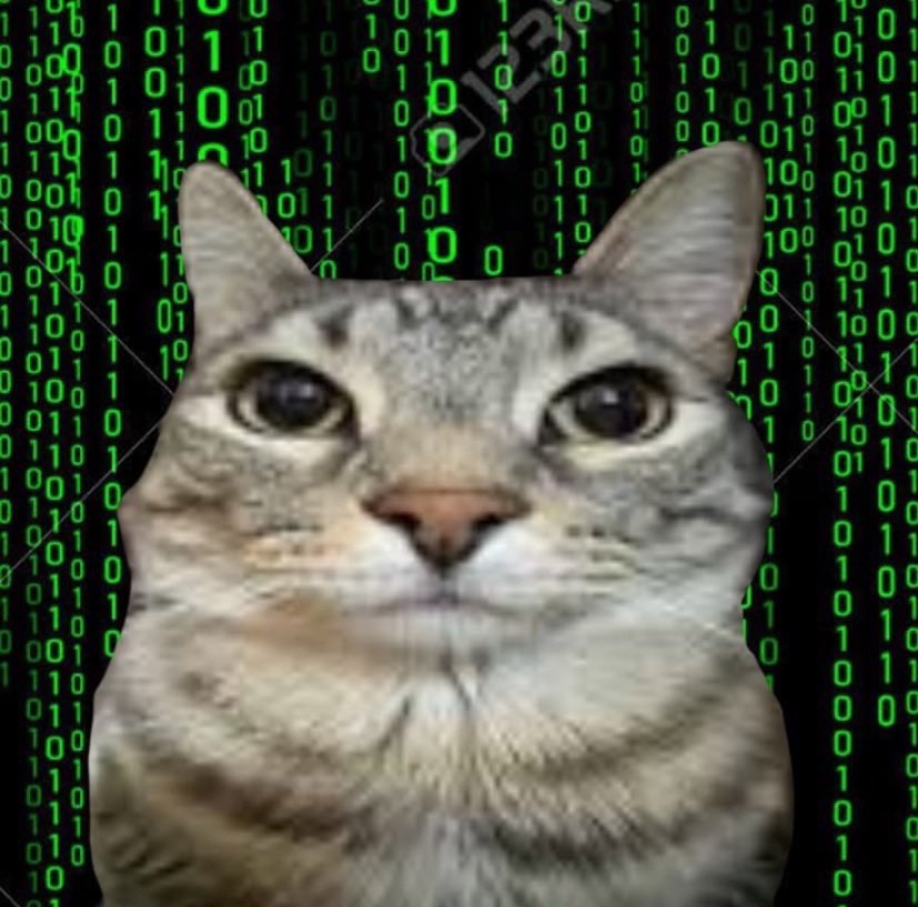 写真のキャプション